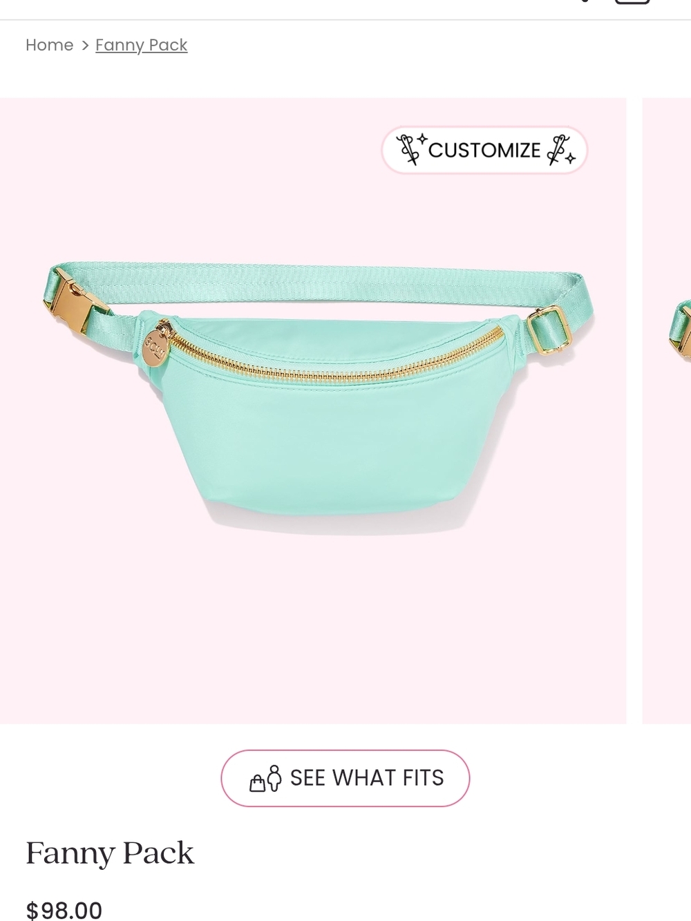 Stoney Clover Lane Cotton Candy Nylon Fanny Pack